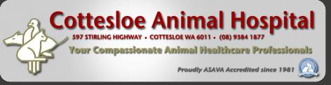 Cottesloe vet